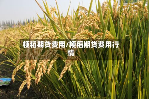 粳稻期货费用/粳稻期货费用行情