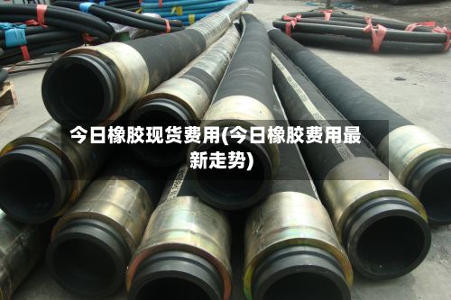 今日橡胶现货费用(今日橡胶费用最新走势)