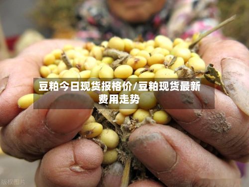 豆粕今日现货报格价/豆粕现货最新费用走势-第3张图片