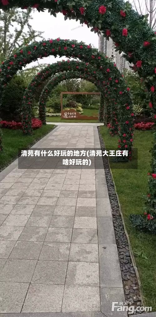 清苑有什么好玩的地方(清苑大王庄有啥好玩的)-第3张图片