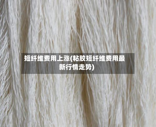 短纤维费用上涨(粘胶短纤维费用最新行情走势)