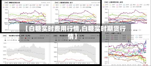 【白糖实时费用行情,白糖实时期货行情】-第2张图片