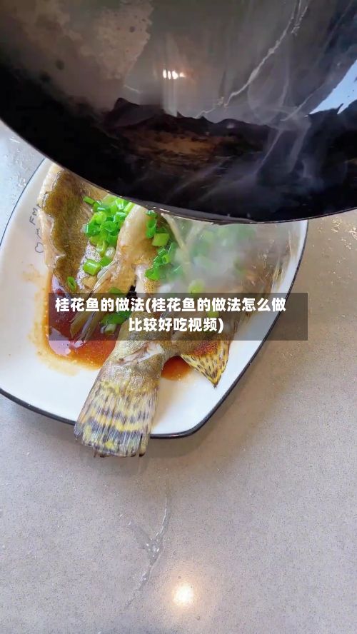 桂花鱼的做法(桂花鱼的做法怎么做比较好吃视频)