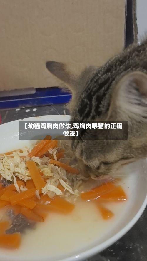 【幼猫鸡胸肉做法,鸡胸肉喂猫的正确做法】