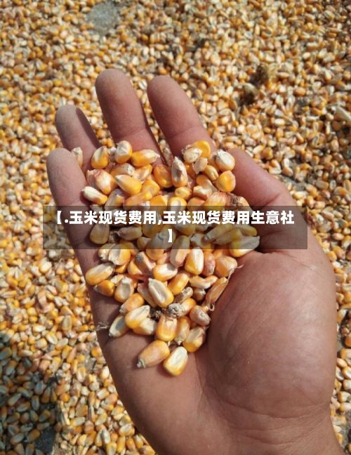 【.玉米现货费用,玉米现货费用生意社】-第2张图片