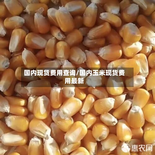 国内现货费用查询/国内玉米现货费用最新-第2张图片