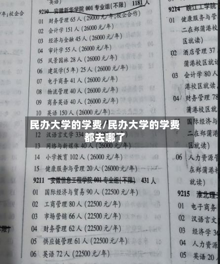 民办大学的学费/民办大学的学费都去哪了