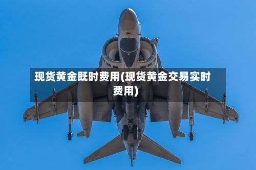 现货黄金既时费用(现货黄金交易实时费用)