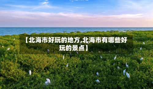 【北海市好玩的地方,北海市有哪些好玩的景点】