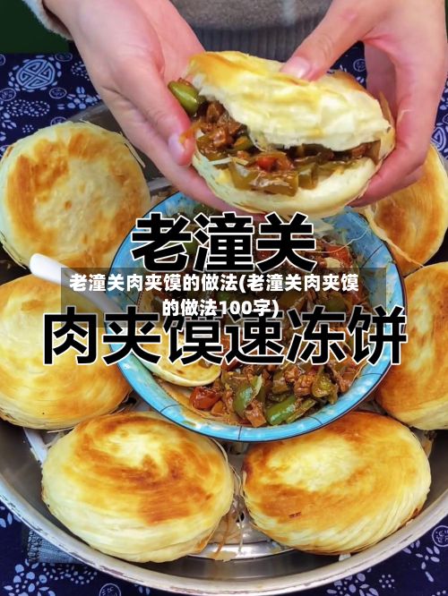 老潼关肉夹馍的做法(老潼关肉夹馍的做法100字)