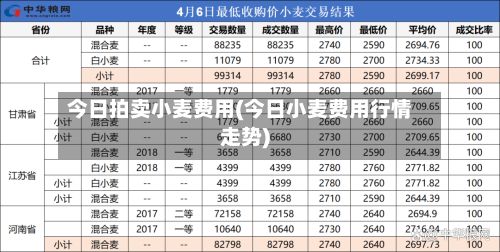 今日拍卖小麦费用(今日小麦费用行情走势)-第2张图片