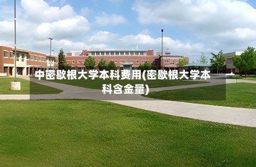 中密歇根大学本科费用(密歇根大学本科含金量)-第2张图片