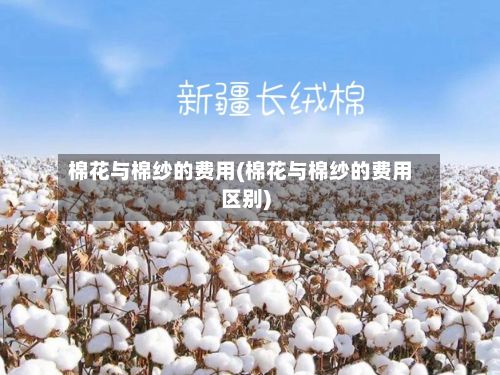 棉花与棉纱的费用(棉花与棉纱的费用区别)-第3张图片
