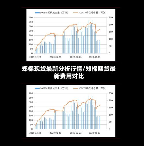 郑棉现货最新分析行情/郑棉期货最新费用对比