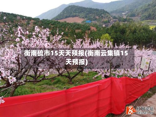衡南硫市15天天预报(衡南云集镇15天预报)-第2张图片