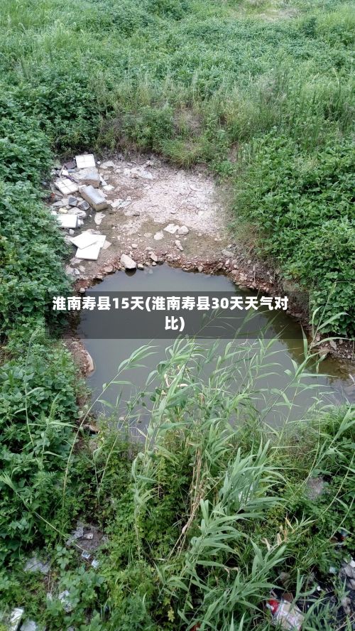 淮南寿县15天(淮南寿县30天天气对比)