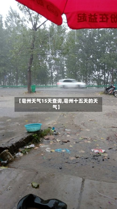 【毫州天气15天查询,毫州十五天的天气】-第3张图片