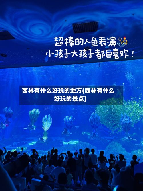 西林有什么好玩的地方(西林有什么好玩的景点)-第2张图片
