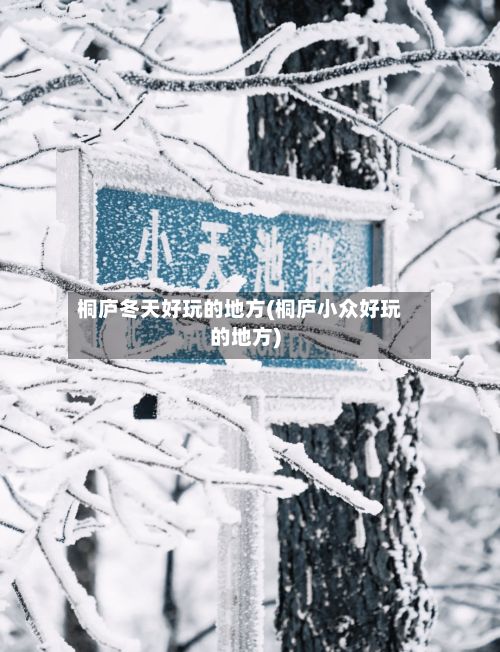 桐庐冬天好玩的地方(桐庐小众好玩的地方)-第2张图片