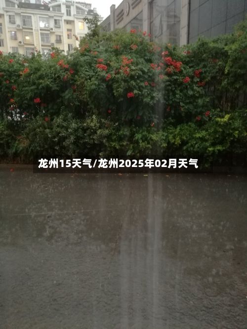 龙州15天气/龙州2025年02月天气