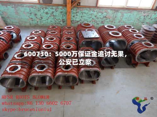 600730：5000万保证金追讨无果，公安已立案-第2张图片