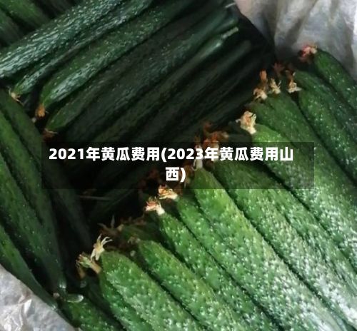 2021年黄瓜费用(2023年黄瓜费用山西)-第2张图片