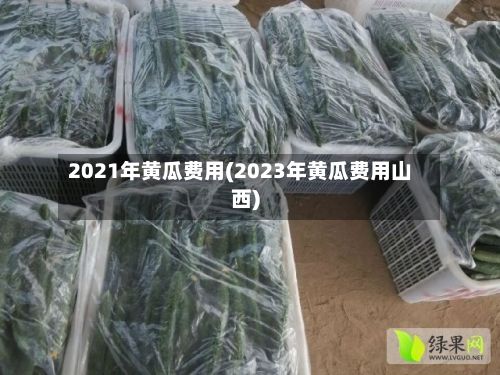2021年黄瓜费用(2023年黄瓜费用山西)-第3张图片