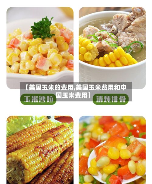 【美国玉米的费用,美国玉米费用和中国玉米费用】-第2张图片