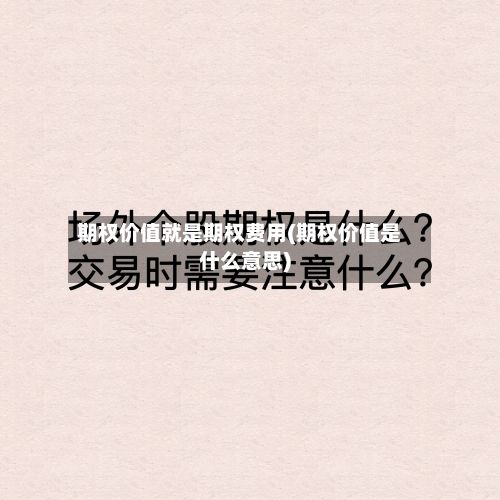 期权价值就是期权费用(期权价值是什么意思)