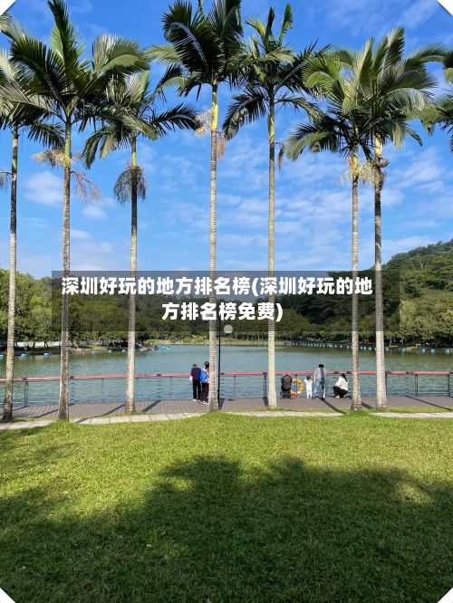 深圳好玩的地方排名榜(深圳好玩的地方排名榜免费)-第3张图片