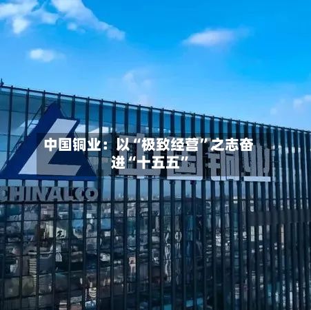 中国铜业：以“极致经营”之志奋进“十五五”-第3张图片