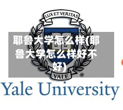 耶鲁大学怎么样(耶鲁大学怎么样好不好)-第3张图片