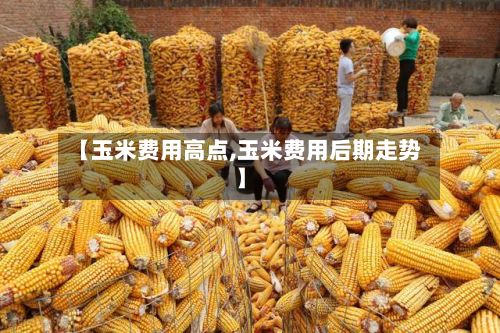 【玉米费用高点,玉米费用后期走势】-第3张图片