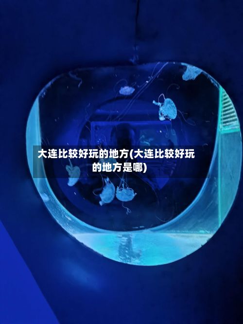 大连比较好玩的地方(大连比较好玩的地方是哪)-第2张图片