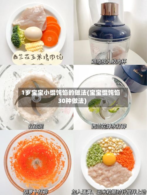1岁宝宝小馄饨馅的做法(宝宝馄饨馅30种做法)-第2张图片