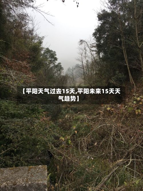 【平阳天气过去15天,平阳未来15天天气趋势】-第2张图片