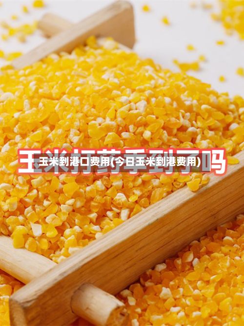 玉米到港口费用(今日玉米到港费用)