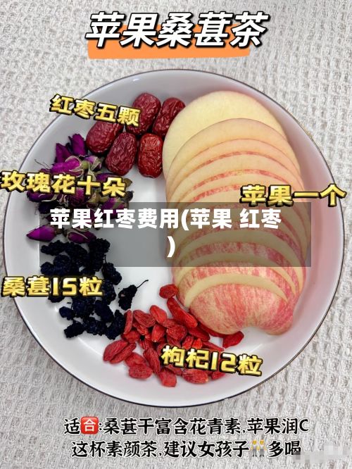 苹果红枣费用(苹果 红枣)