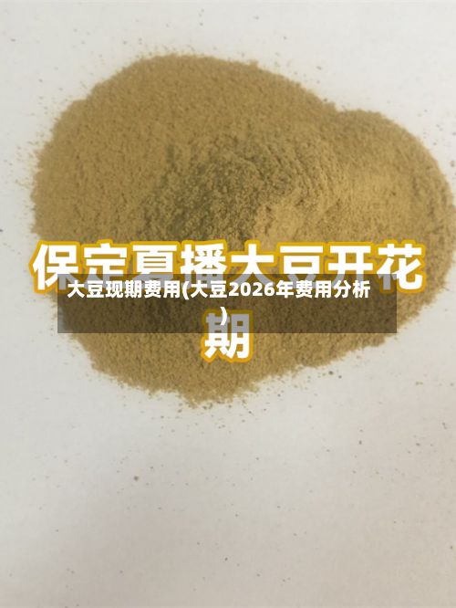 大豆现期费用(大豆2026年费用分析)
