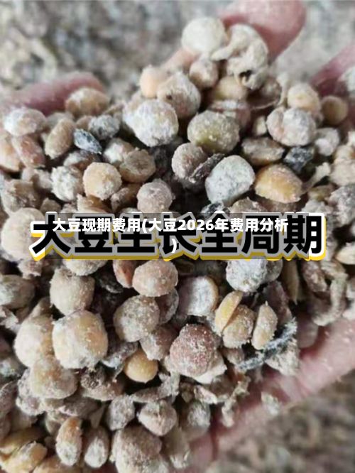 大豆现期费用(大豆2026年费用分析)-第2张图片