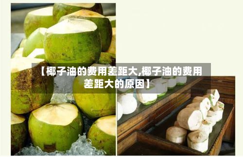 【椰子油的费用差距大,椰子油的费用差距大的原因】-第2张图片