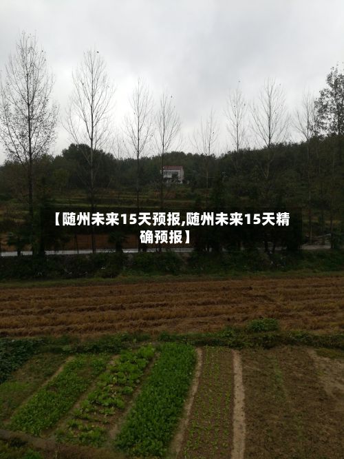 【随州未来15天预报,随州未来15天精确预报】-第2张图片