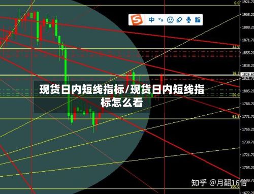 现货日内短线指标/现货日内短线指标怎么看-第2张图片