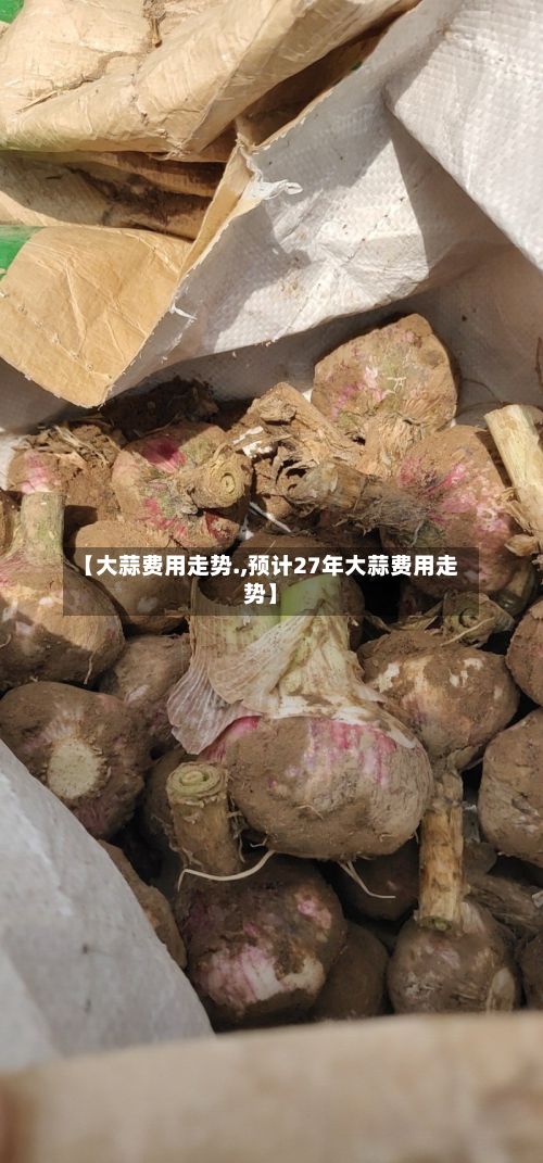 【大蒜费用走势.,预计27年大蒜费用走势】-第2张图片