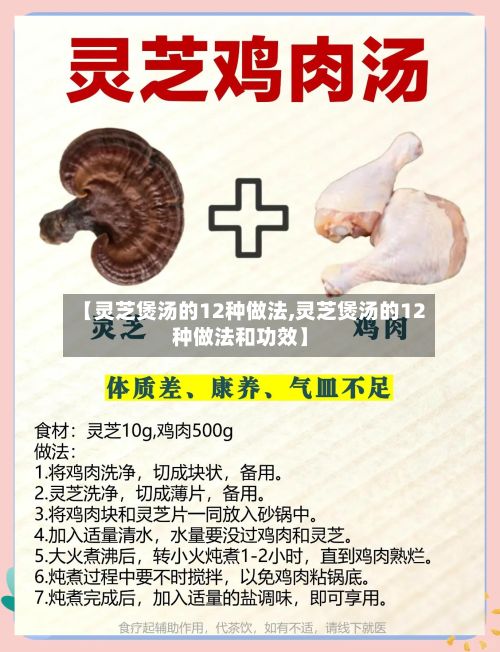 【灵芝煲汤的12种做法,灵芝煲汤的12种做法和功效】