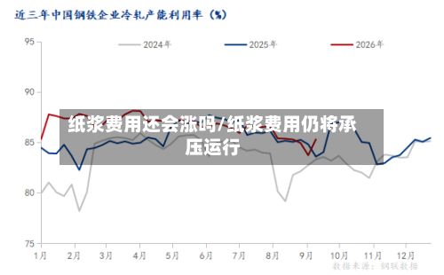 纸浆费用还会涨吗/纸浆费用仍将承压运行-第2张图片