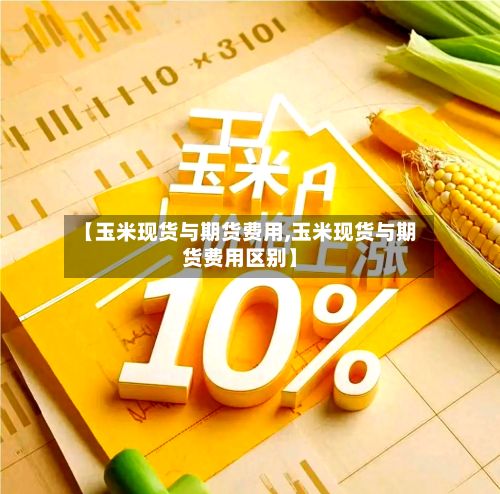 【玉米现货与期货费用,玉米现货与期货费用区别】