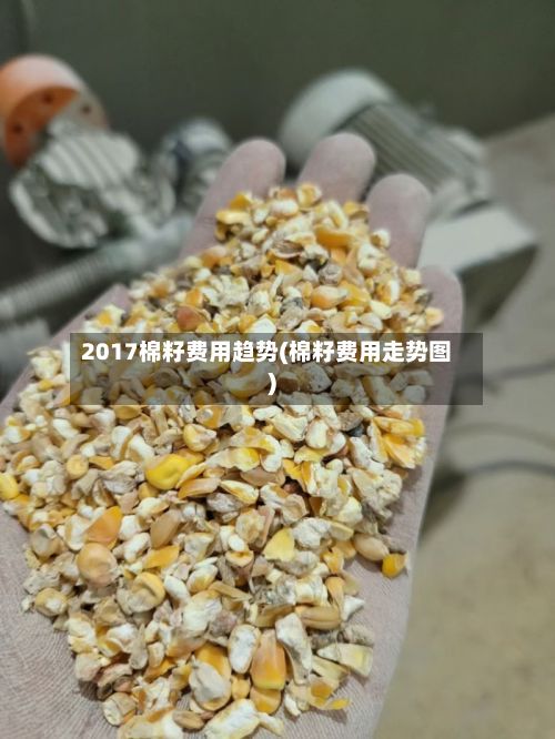 2017棉籽费用趋势(棉籽费用走势图)