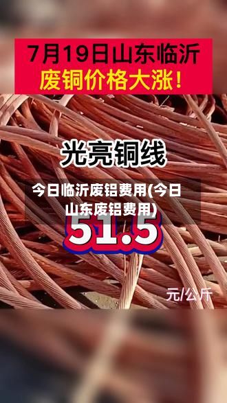 今日临沂废铝费用(今日山东废铝费用)