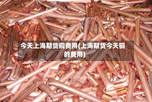 今天上海期货铜费用(上海期货今天铜的费用)-第2张图片